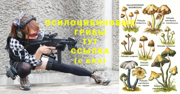 соль курить ск Магадан